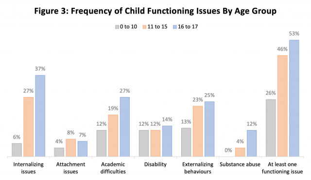 Frequency of Child Functioning Issues by Age Group